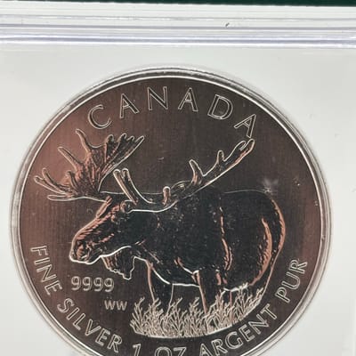 2012 Canada 3/4oz .9999Ag Moose ICG MS69+ - additional view