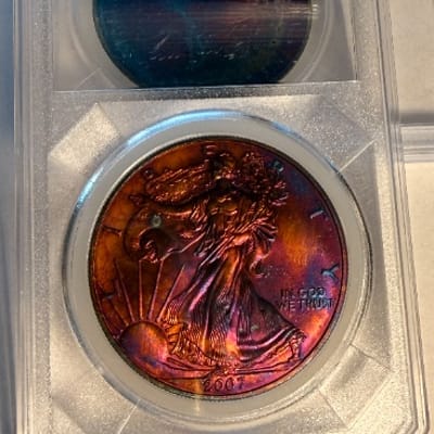 2007 American Silver Eagle Artificial Toned 1 oz 
