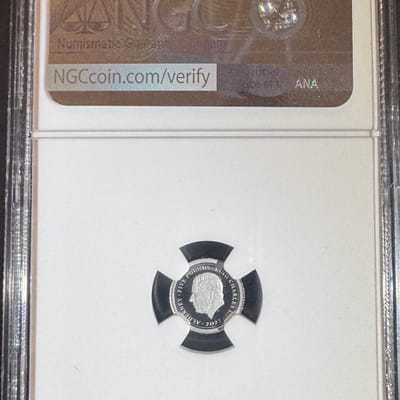 2025 Alderney £5 Una & the Lion Platinum Proof - additional view