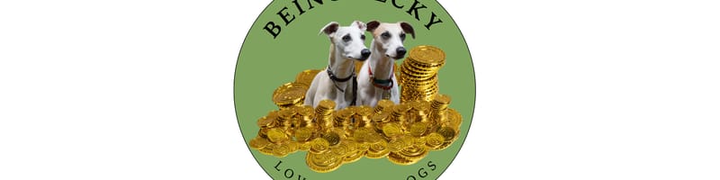 Being Becky banner