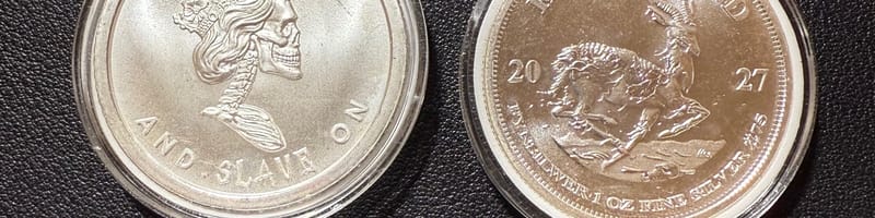 silverbug banner