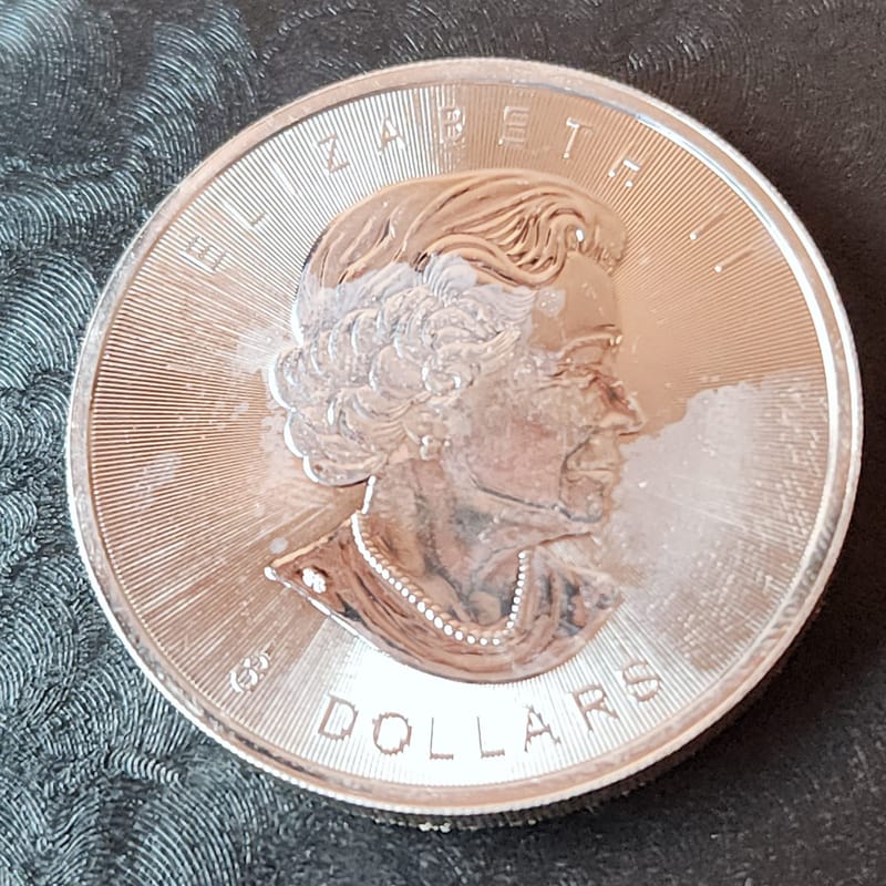 2015 Canada Bison 1.25oz .999 - Image 5