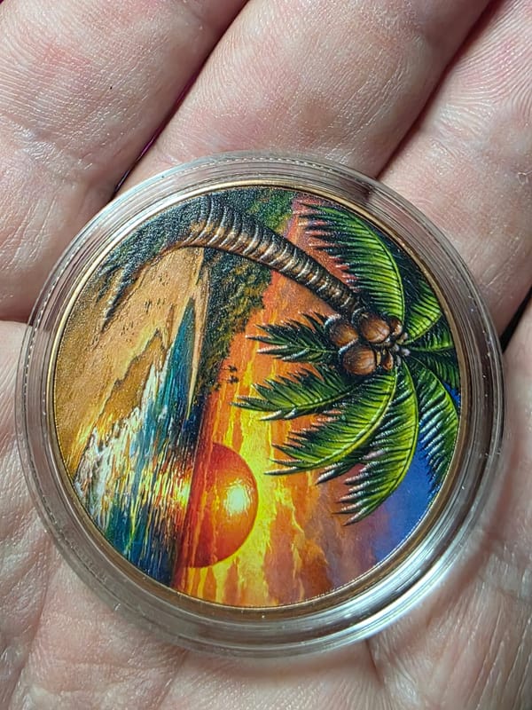 LOT: 2. .999 Copper.  2x 1oz FLORIDA   - Image 2