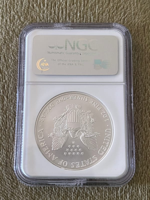 Silver Eagle - Image 2