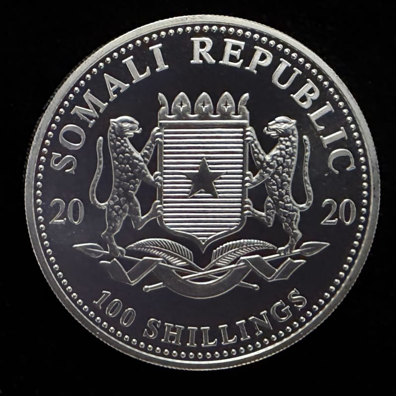 2020 Leopard 1 oz Silver Coin African Wildlife - Image 2