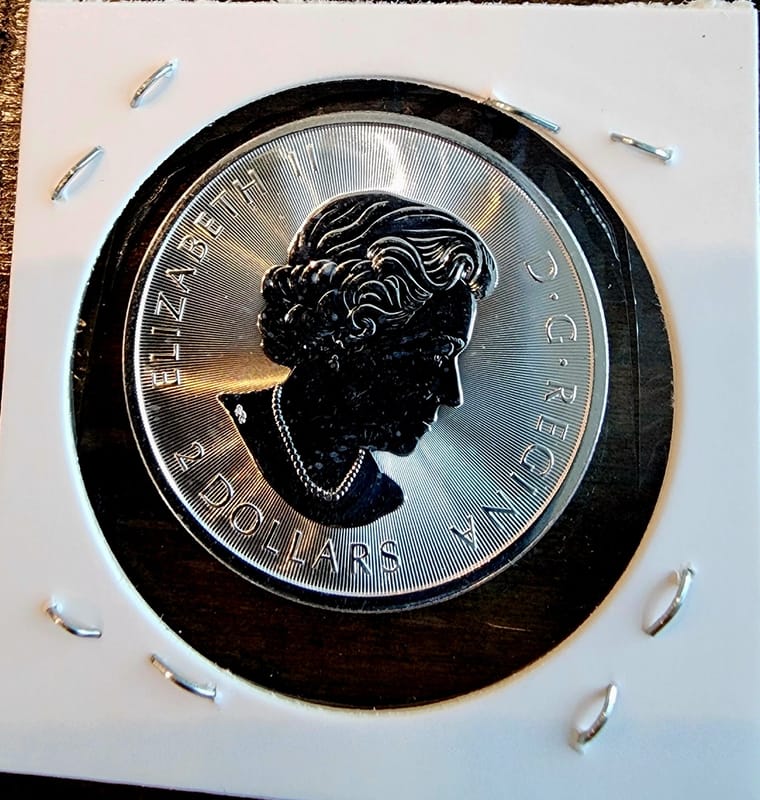 2016 Canada Bald Eagle 1/2 Maple Privy - Image 2