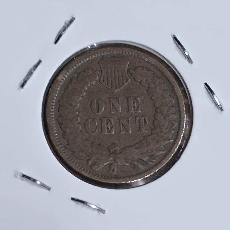 1899 Indian Head Cent in EF Condition  - Image 3