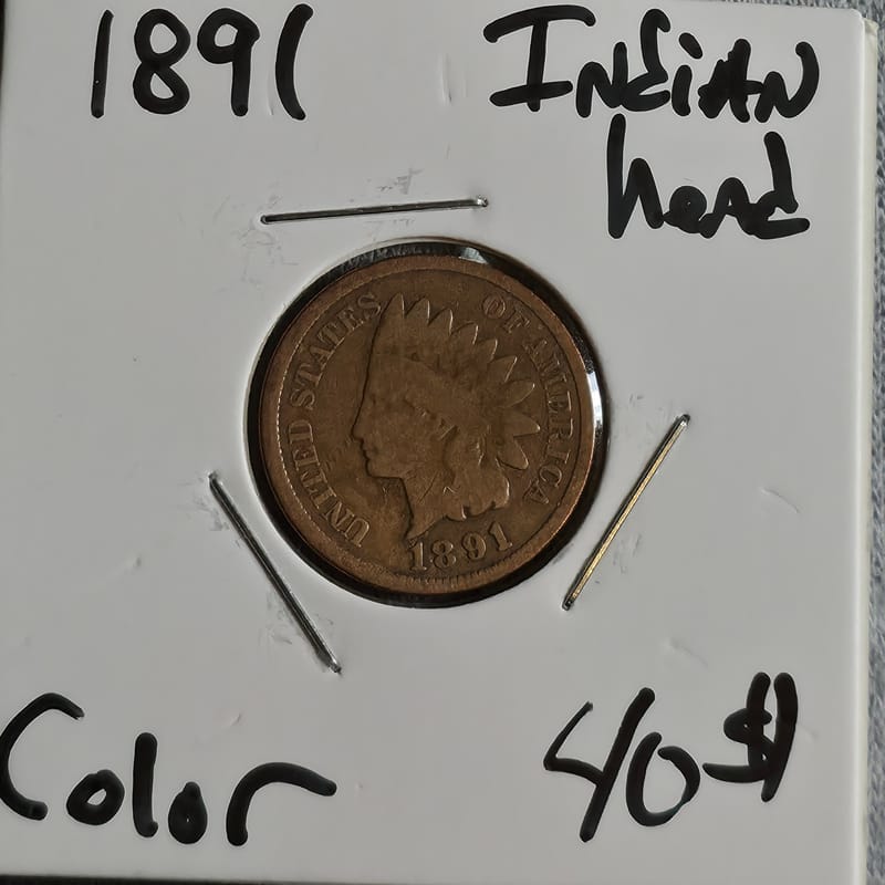 1891 Indian Head Cent EF - Image 5