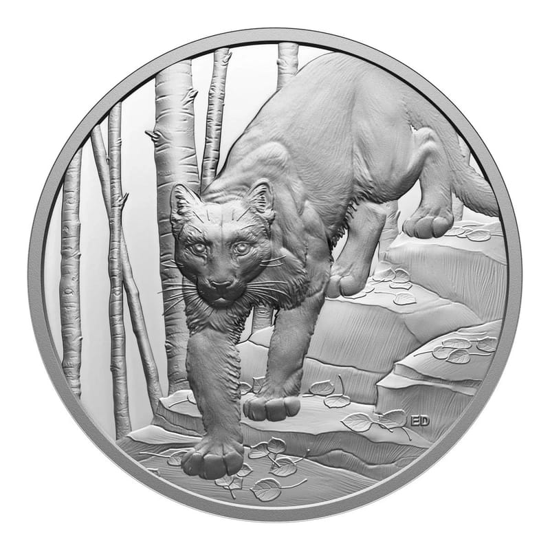 2024 Canada Cougar 1 oz Silver Proof (Great Hunters Series) - Image 1