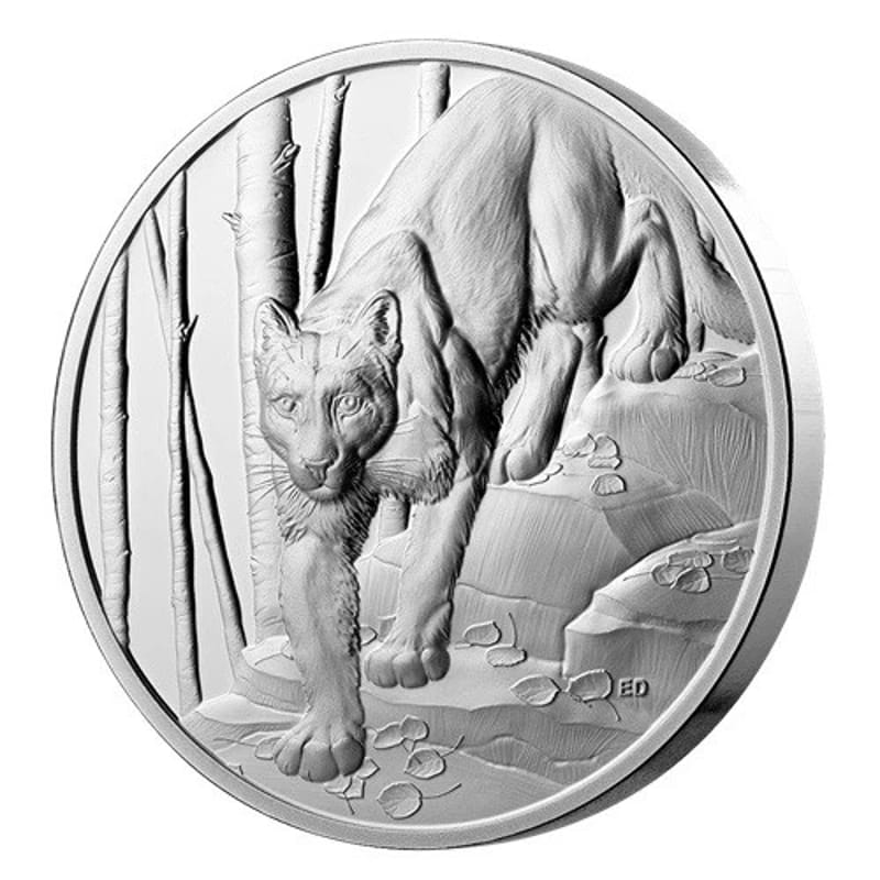 2024 Canada Cougar 1 oz Silver Proof (Great Hunters Series) - Image 2