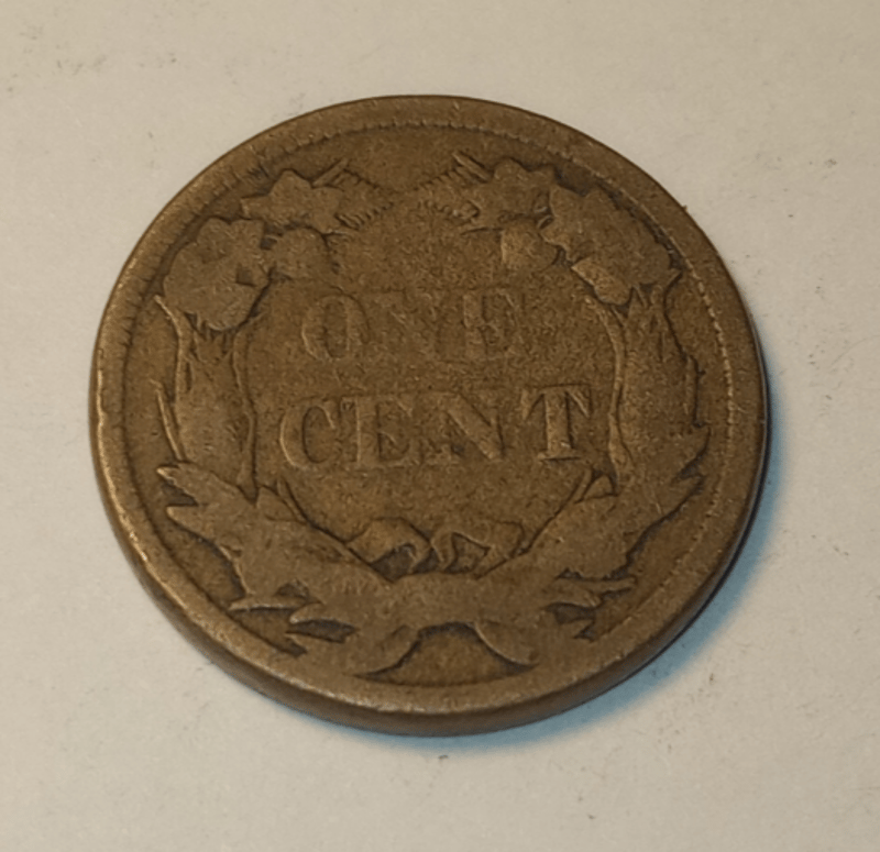 FLYING EAGLE PENNY  - Image 4