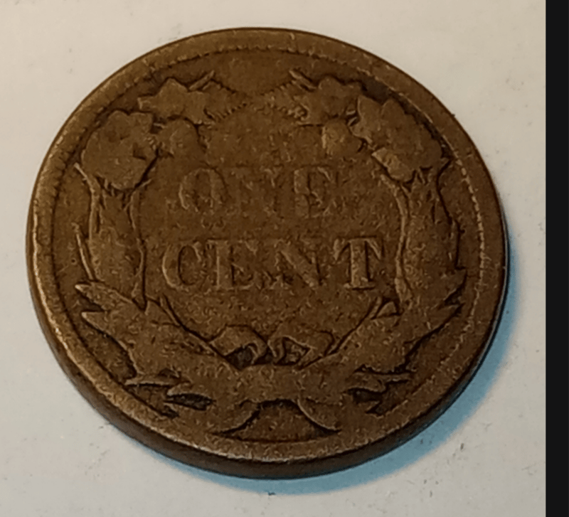 FLYING EAGLE PENNY  - Image 3
