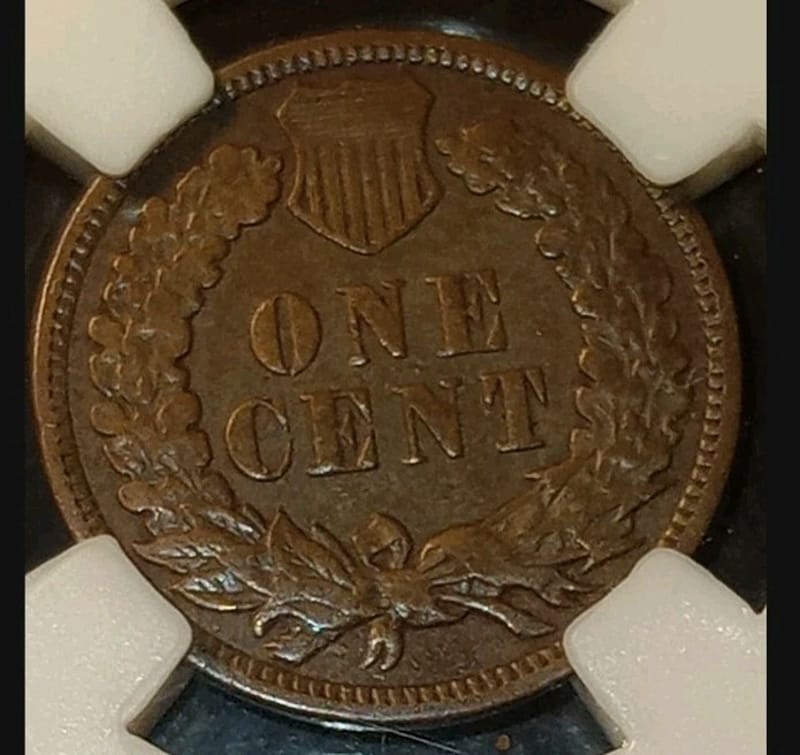 1909 Indian Head Cent Penny NICE VF / XF Sharp   In PCCB Coin Slab  - Image 2