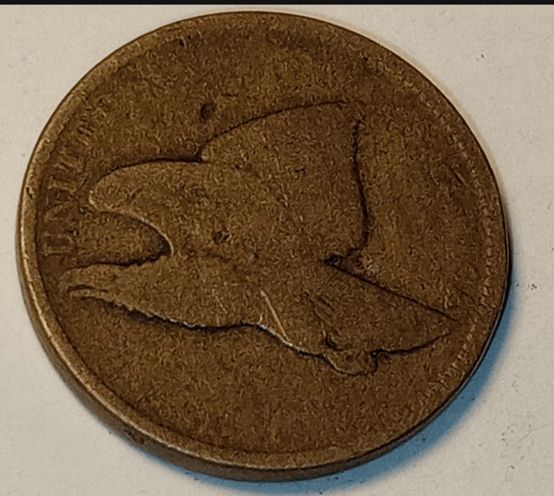 FLYING EAGLE PENNY  - Image 2