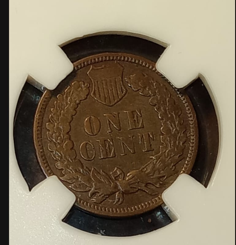 1909 Indian Head Cent Penny NICE VF / XF Sharp   In PCCB Coin Slab  - Image 7