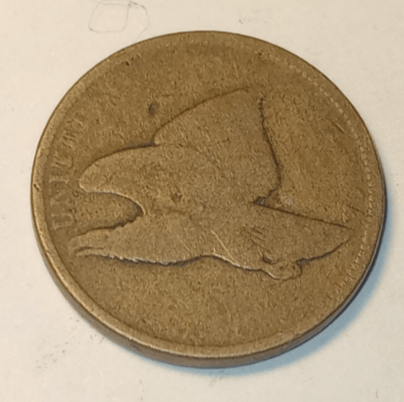 FLYING EAGLE PENNY  - Image 5