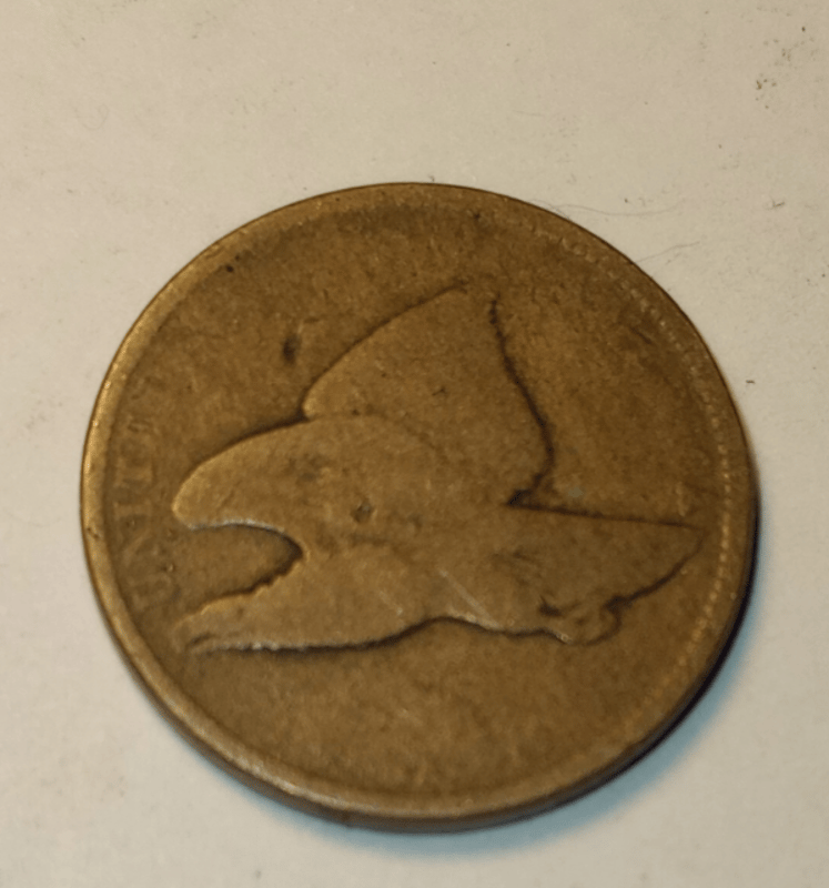 FLYING EAGLE PENNY  - Image 7