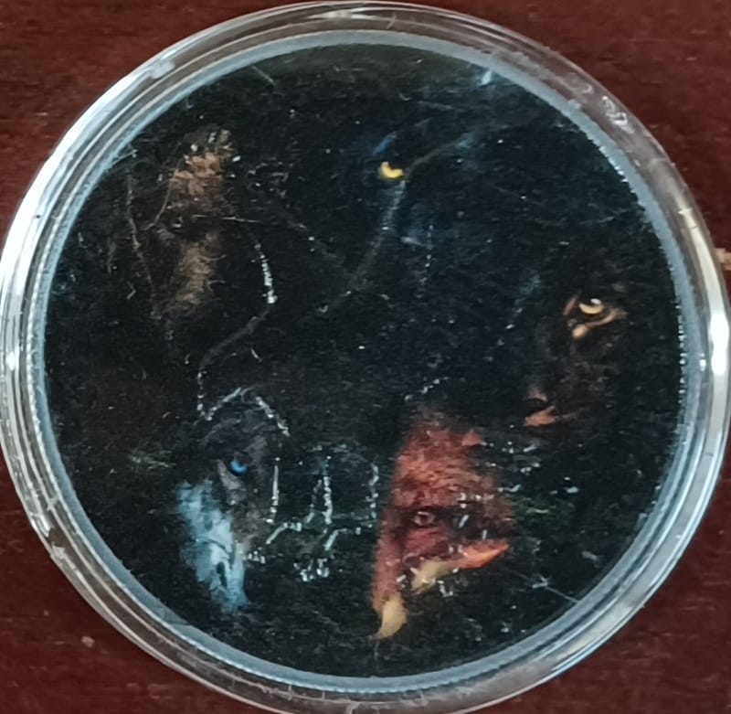 2025 American Eagle 1oz Silver Twilight Puma - Image 3