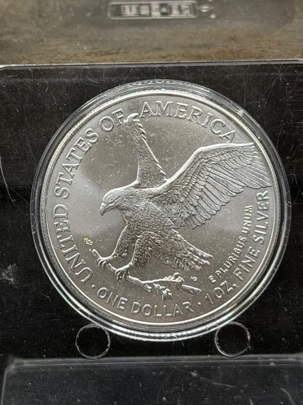 2025 American Silver Eagle 1oz in Capsule - Image 2