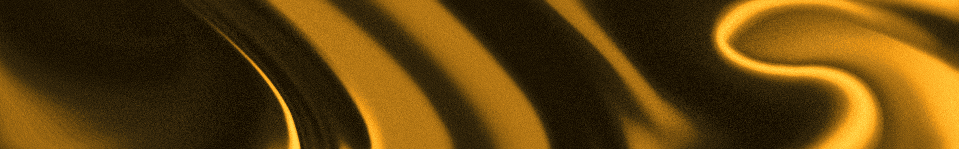 Profile Banner